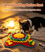Interactive Slow Feeding Dog Snuffle Mat™