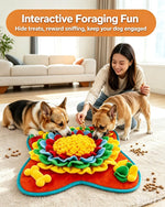 Interactive Slow Feeding Dog Snuffle Mat™